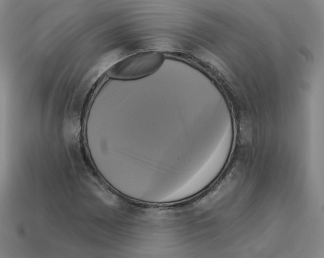 X0000113051065200910081227