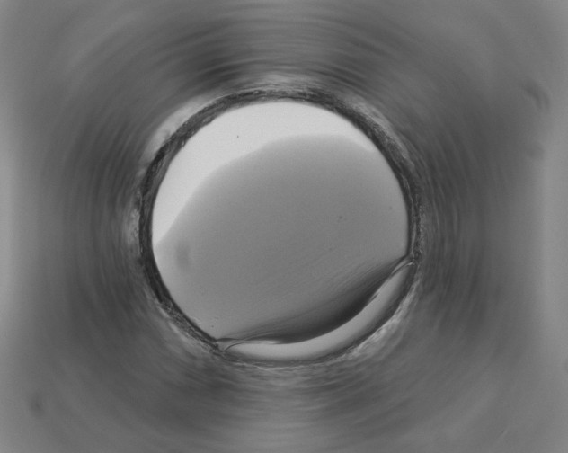 X0000113051066200910081227