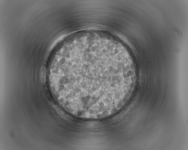 X0000113051067200910081227