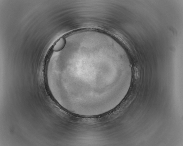 X0000113051068200910081227