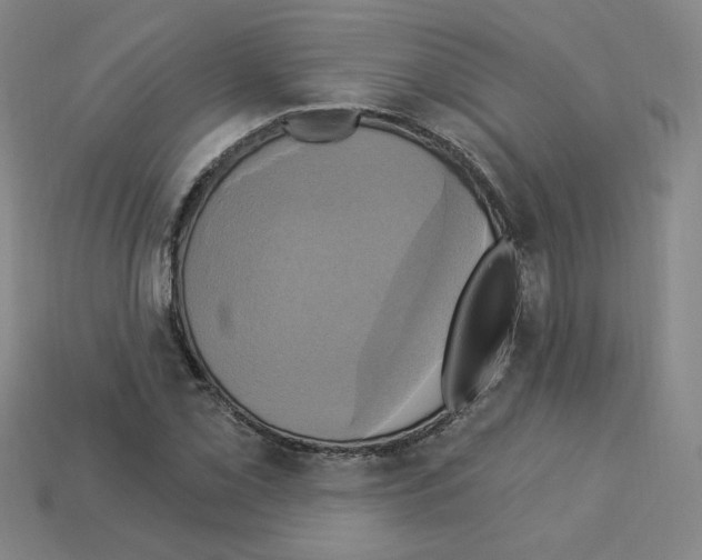 X0000113051069200910081227