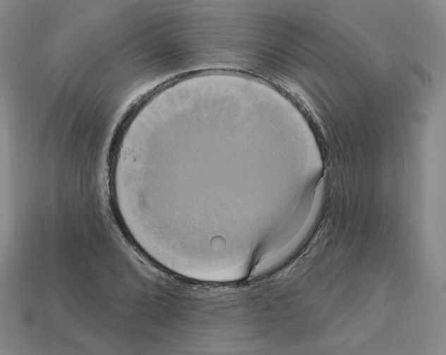X0000113051072200910081226