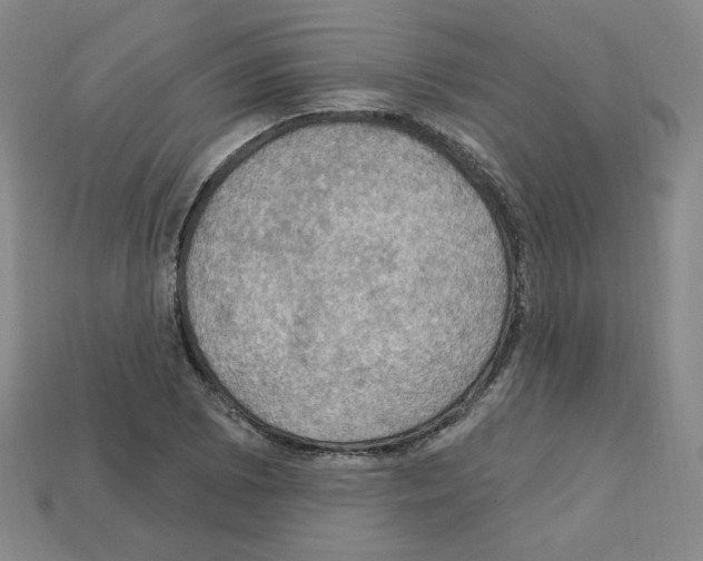 X0000113051073200910081226