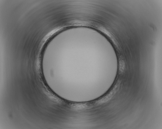 X0000113051074200910081226