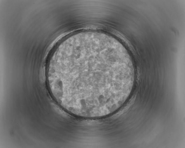 X0000113051075200910081226