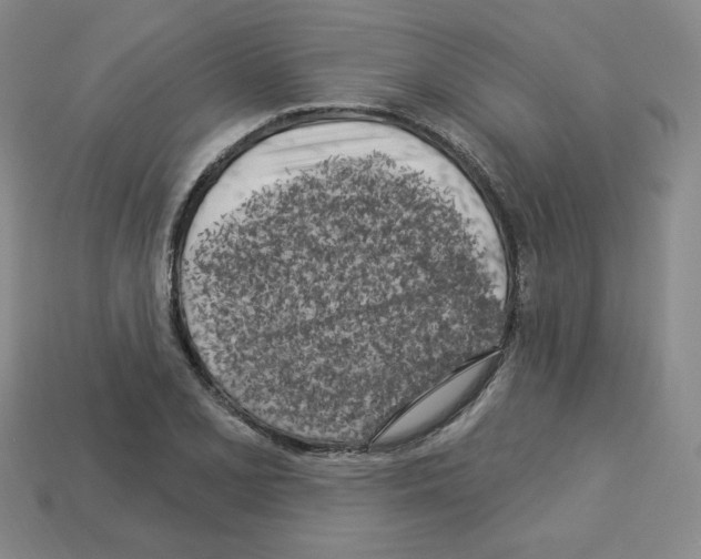 X0000113051077200910081226