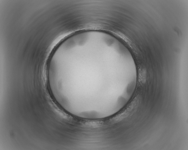 X0000113051078200910081226