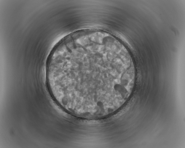 X0000113051079200910081226