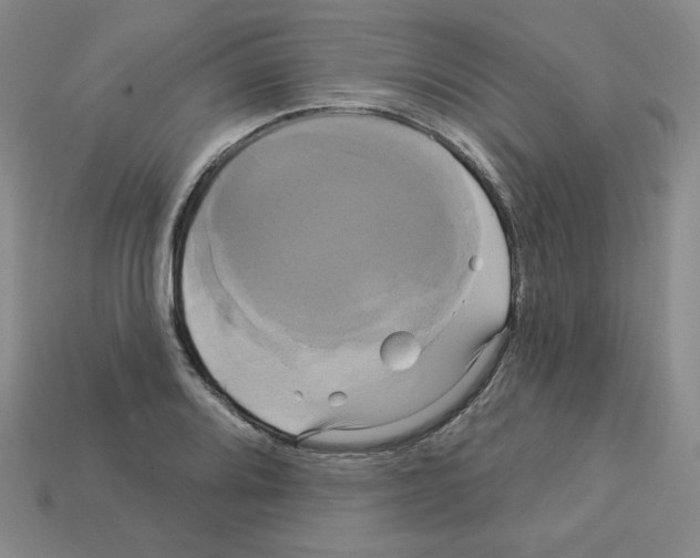 X0000113051080200910081226