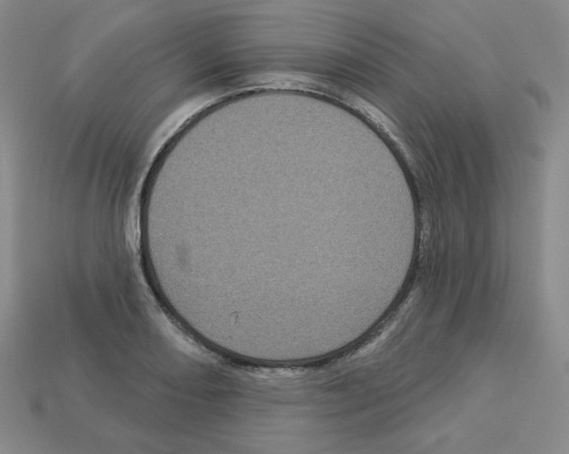 X0000113051082200910081226