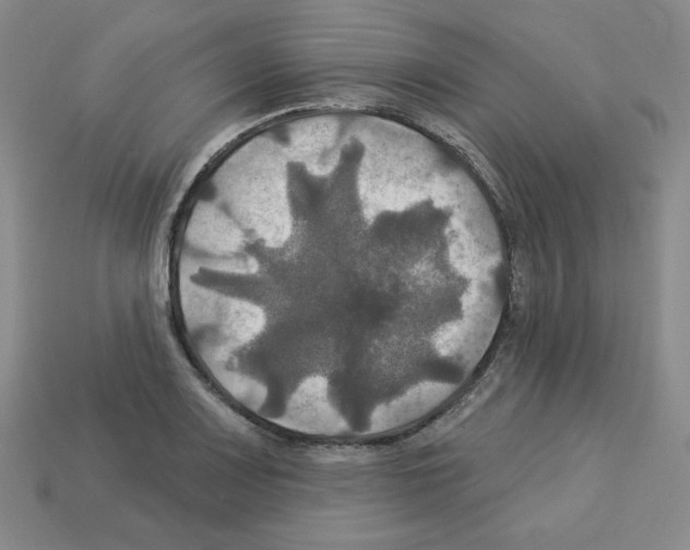 X0000113051083200910081226