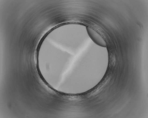X0000113051084200910081226