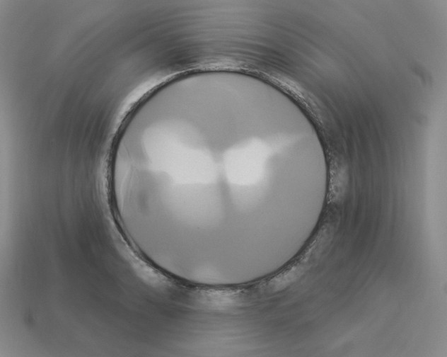 X0000113051086200910081226