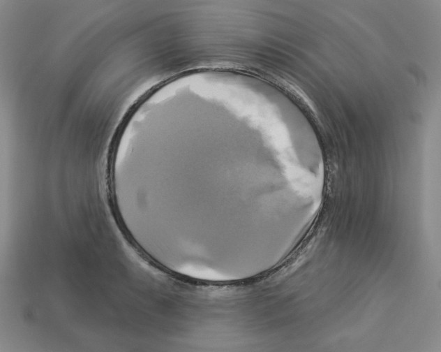 X0000113051087200910081226