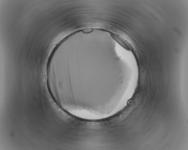 X0000113051088200910081226