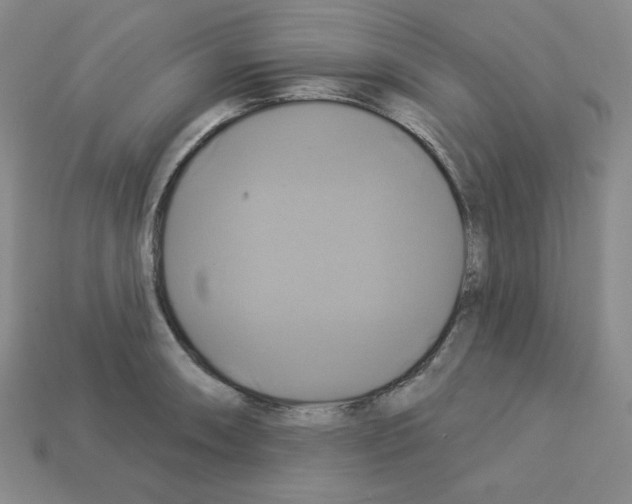 X0000113051090200910081226