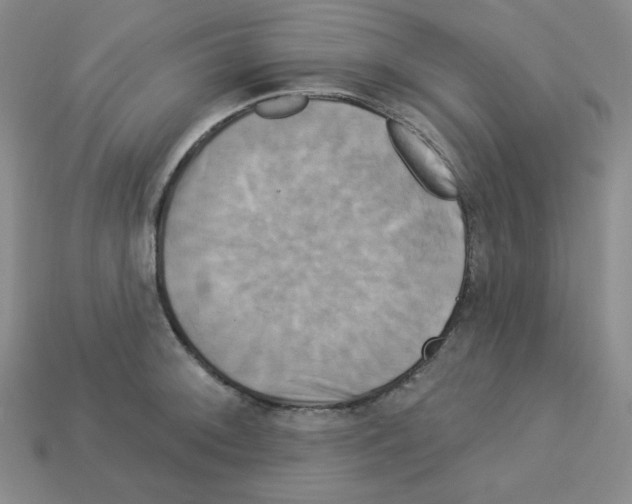 X0000113051092200910081226