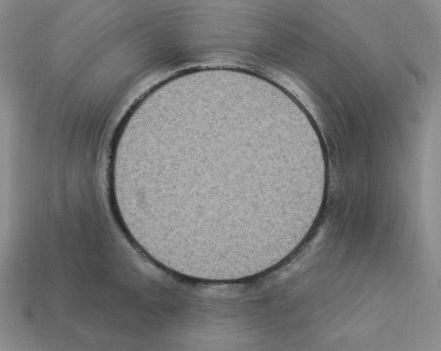 X0000113051093200910081226