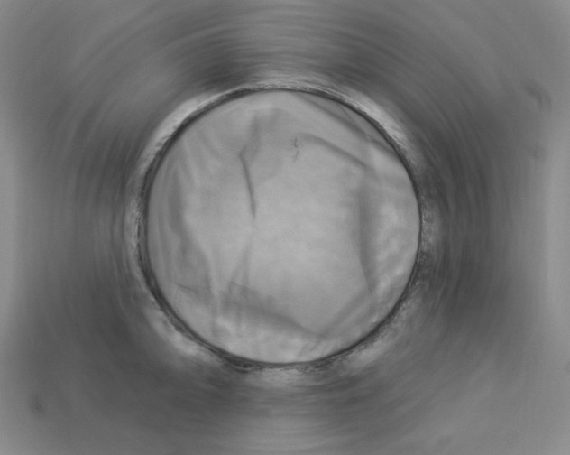 X0000113051094200910081226