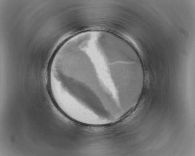 X0000113051095200910081226