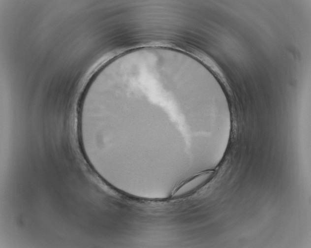 X0000113051096200910081226