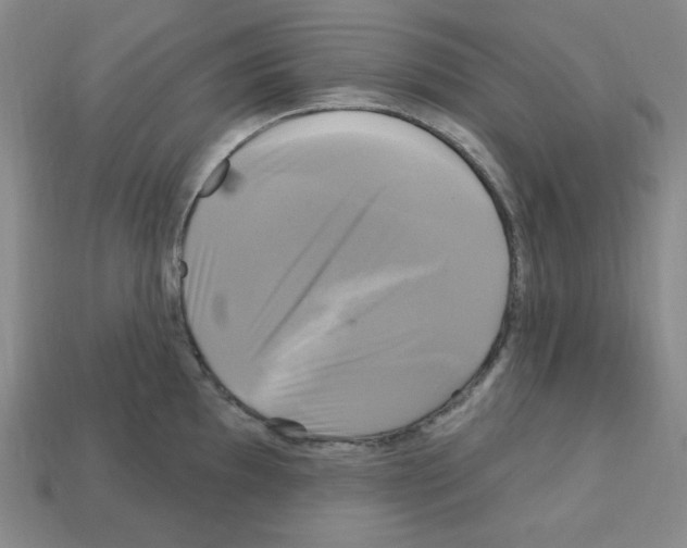 X0000113051097200910081226