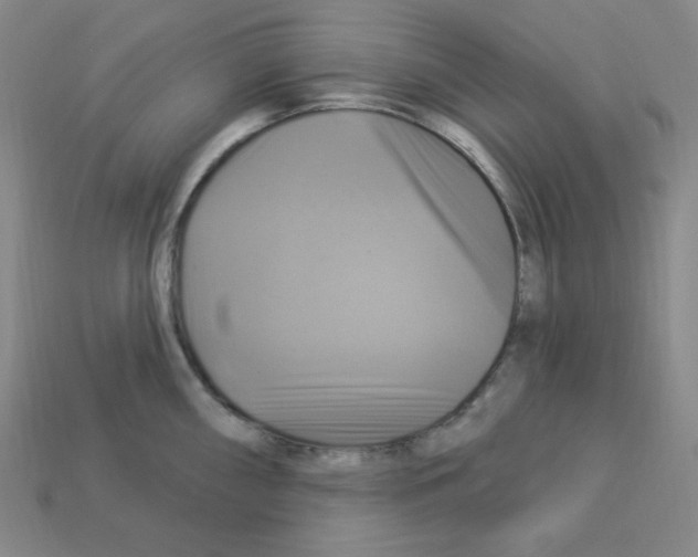X0000113051098200910081226