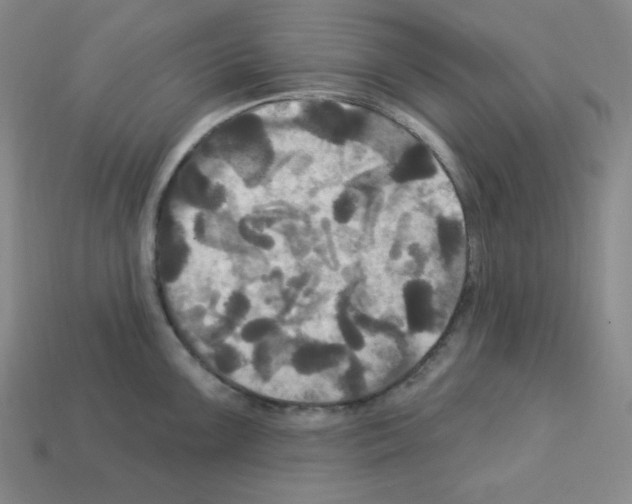 X0000113051099200910081226