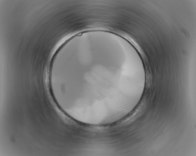 X0000113051101200910081226