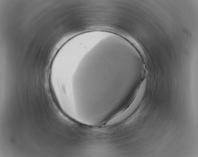 X0000113051102200910081226