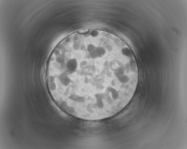 X0000113051103200910081226