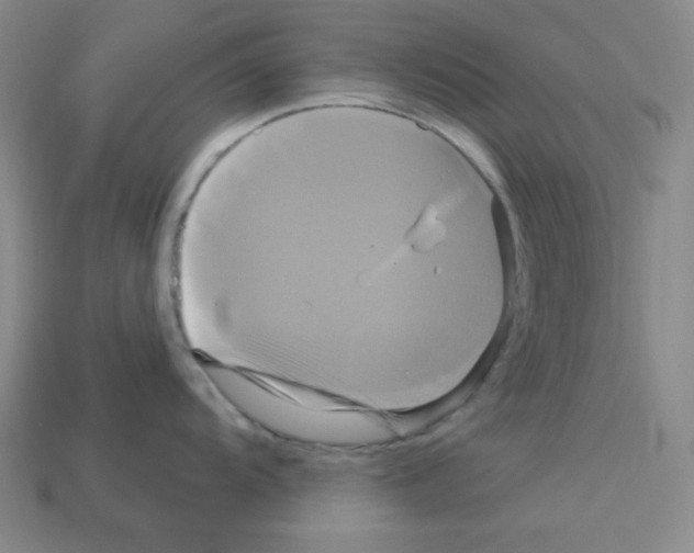 X0000113051104200910081226