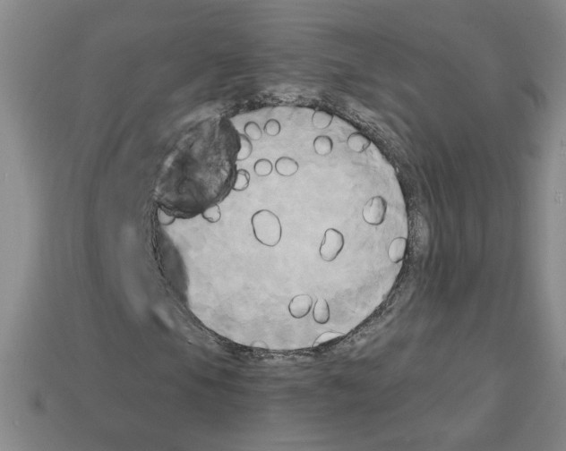 X0000113051105200910081225