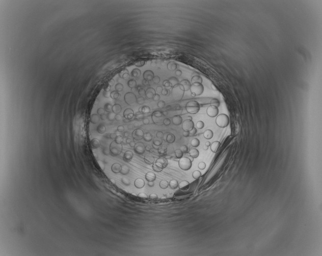 X0000113051106200910081225