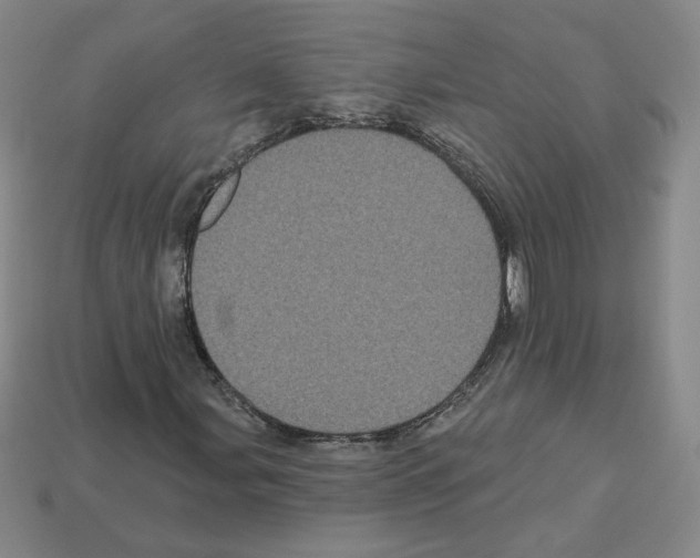 X0000113051107200910081225