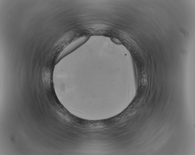 X0000113051108200910081225