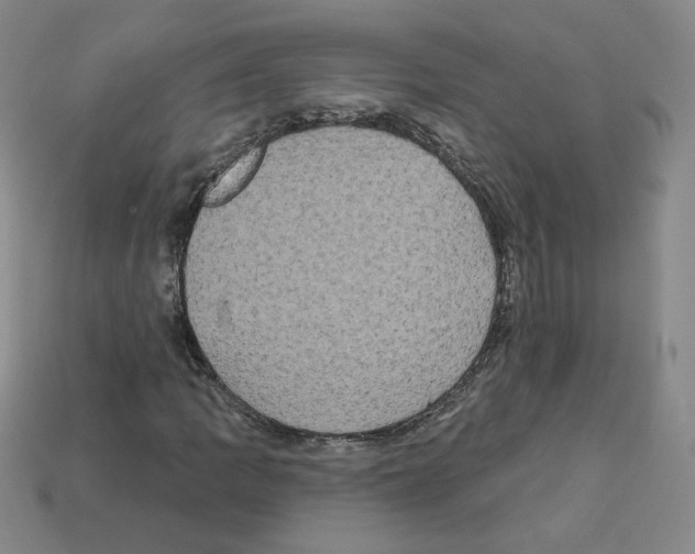 X0000113051109200910081225
