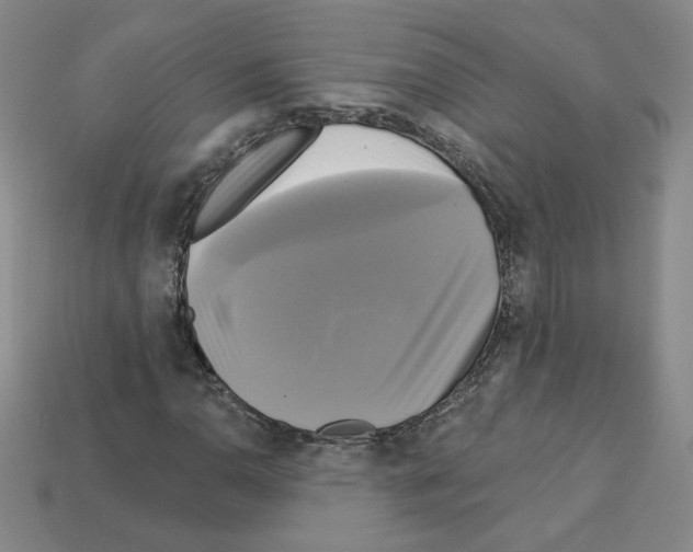 X0000113051110200910081225