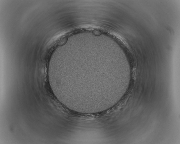 X0000113051111200910081225