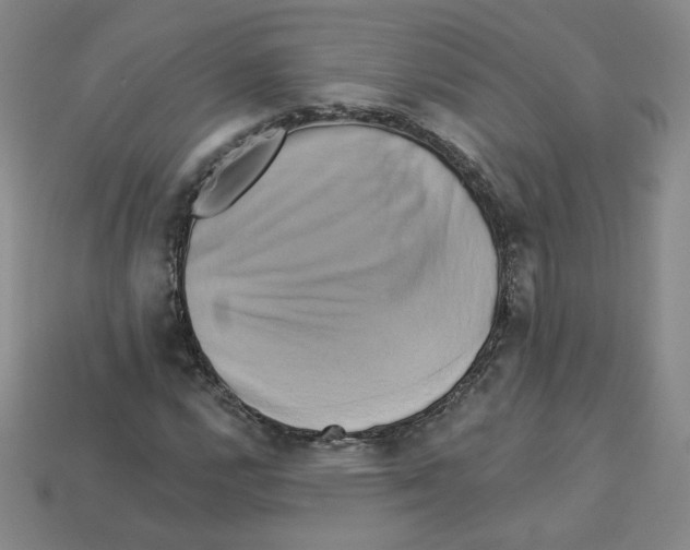 X0000113051112200910081225