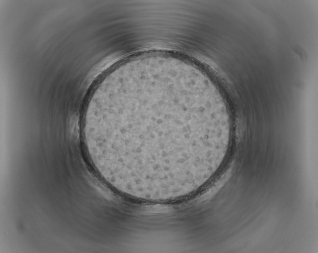 X0000113051113200910081225