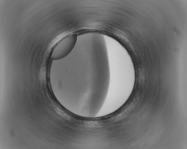 X0000113051114200910081225