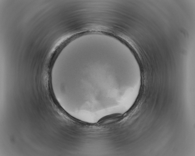 X0000113051115200910081225