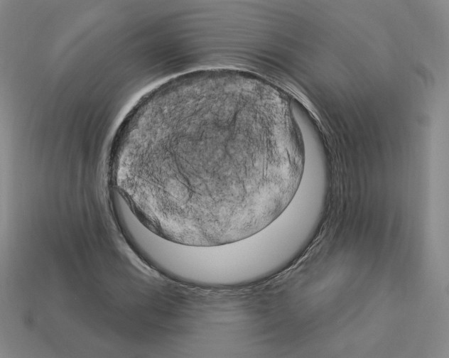 X0000113051116200910081225