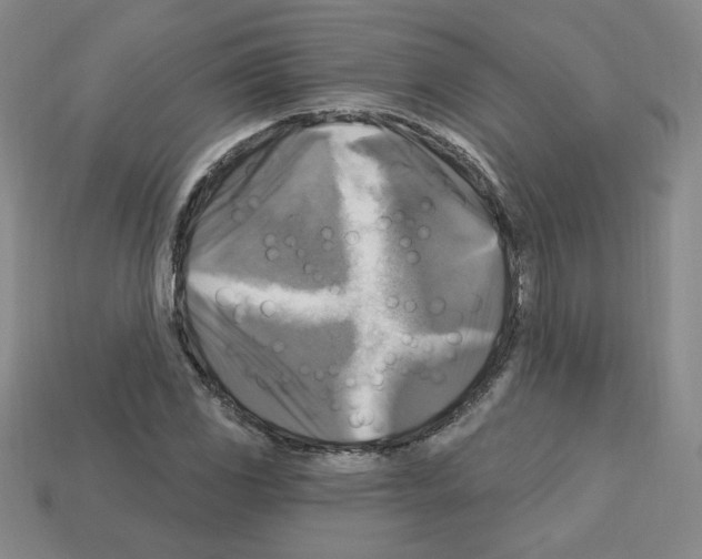 X0000113051117200910081225