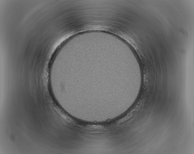 X0000113051119200910081225