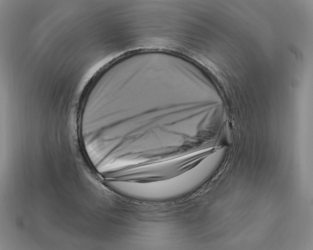 X0000113051120200910081225