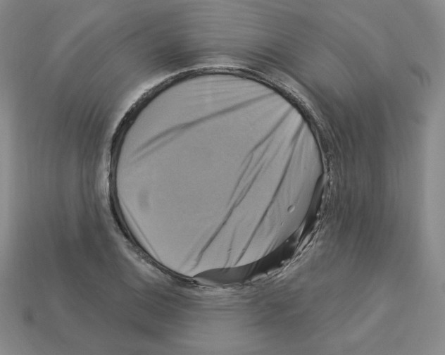 X0000113051124200910081226