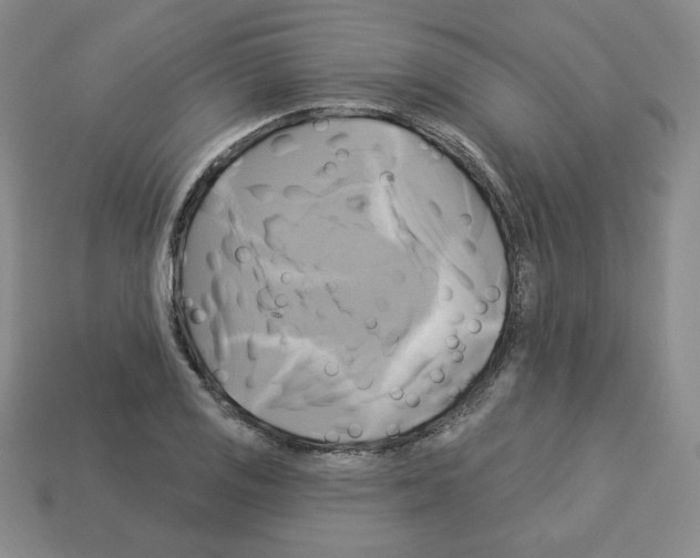 X0000113051125200910081226