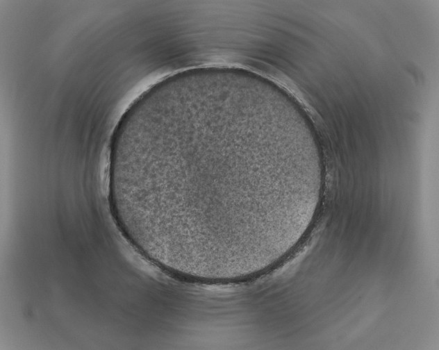 X0000113051126200910081226